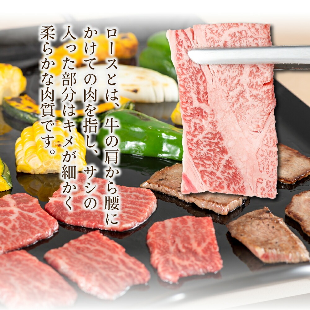 宮崎牛 4種 焼肉食べ比べセット1.2kg 肩ロース ウデ モモ バラ 焼肉 BBQ 宮崎県 送料無料【mMCU4Y】