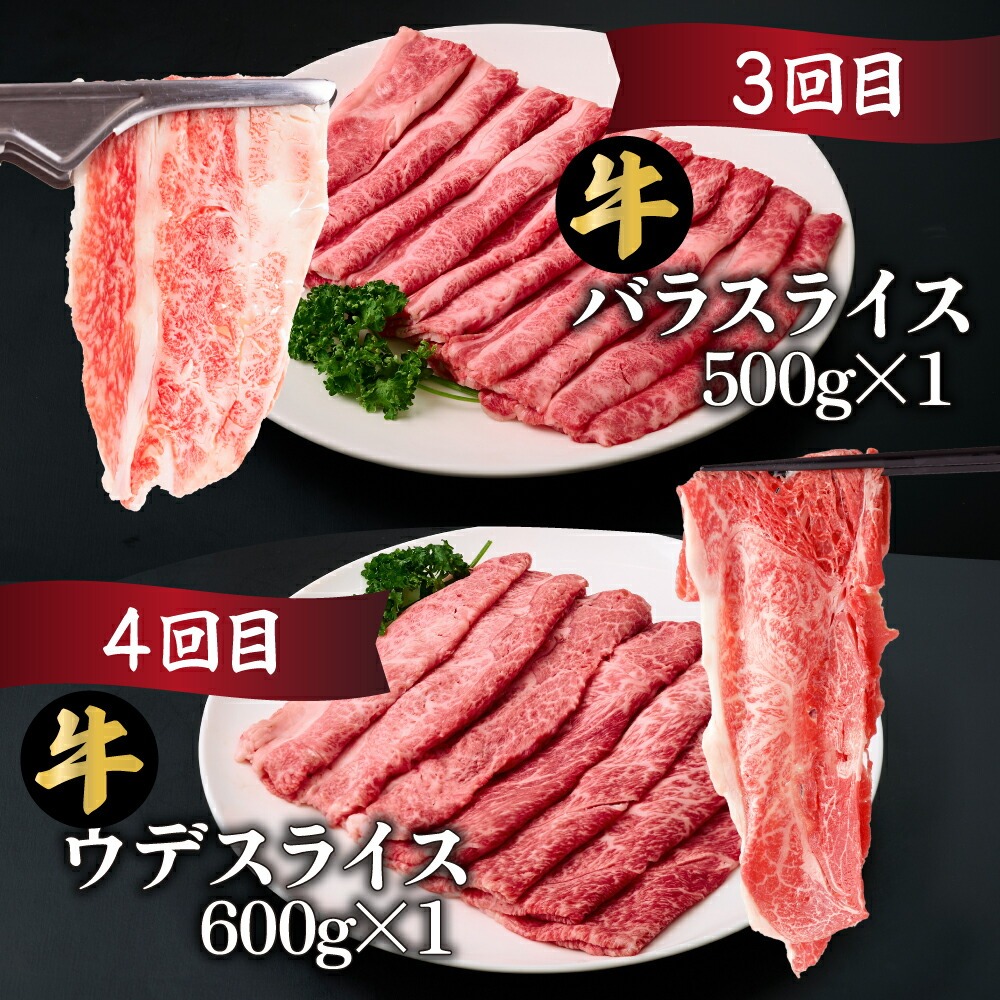 【定期便・全6回】宮崎牛 食べ比べお楽しみバラエティセット 6ヶ月定期便　合計3kg！【mMCT6U-30】