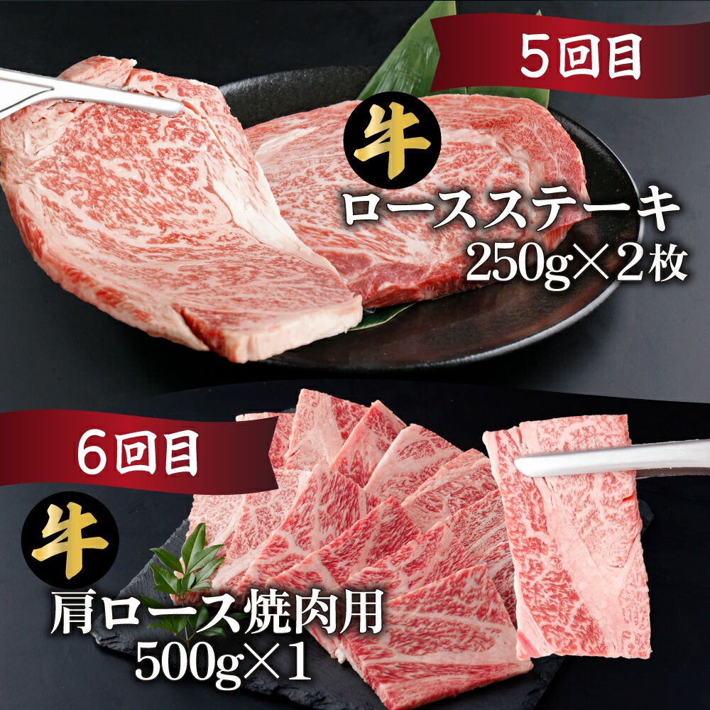 【定期便・全6回】宮崎牛 食べ比べお楽しみバラエティセット 6ヶ月定期便　合計3kg！【mMCT6U-30】