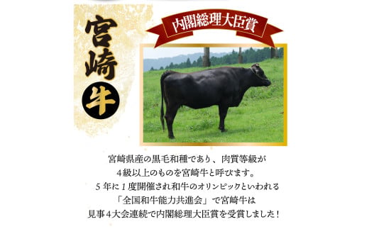 【定期便・全6回】宮崎牛・宮崎県産豚肉 6ヶ月定期便！6.9kg_K030-T002
