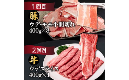 【定期便・全6回】宮崎牛・宮崎県産豚肉 6ヶ月定期便！6.9kg_K030-T002