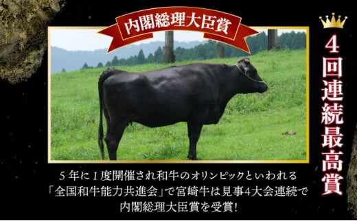 宮崎牛ロースステーキセット 計500g （250g×2）_K030-002