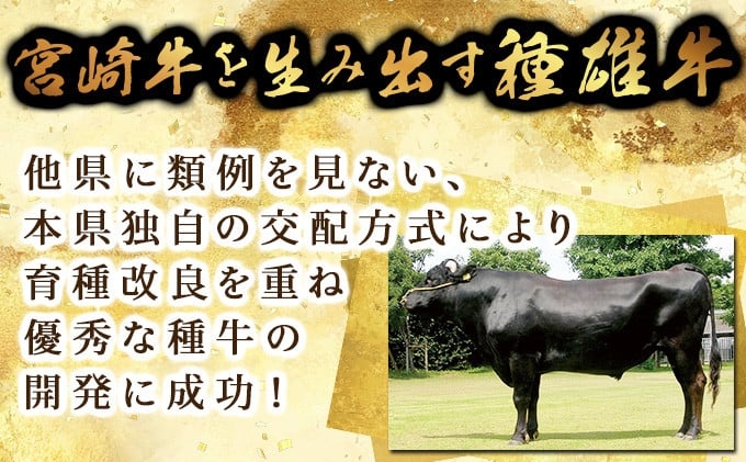 【数量限定】宮崎牛県産黒毛和牛 焼きしゃぶ！計1kg （宮崎県産黒毛和牛 ウデ 焼きしゃぶ 500g×2パック) ４〜５人用 牛肉 しゃぶしゃぶ 牛しゃぶ すき焼き スライス 薄切り 【ｍKU517】