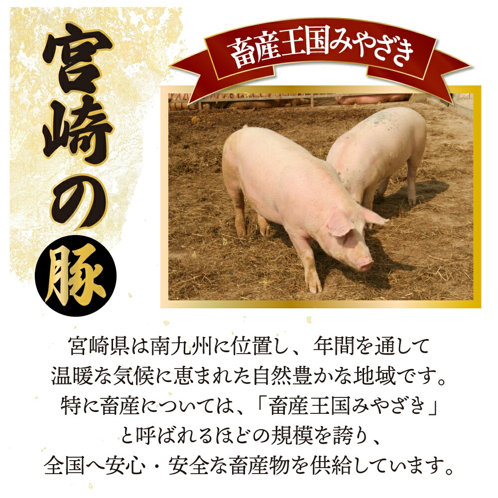 宮崎県産豚　小間切れ（合計2.4kg） バラバラ 凍結 豚こま しゃぶしゃぶ 炒め物 BBQ チャック袋 宮崎県 送料無料【mMCBKM24】