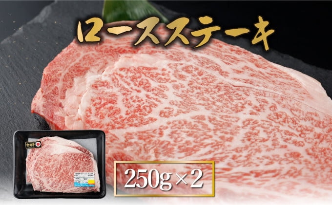 宮崎牛ロースステーキセット 計500g (250ｇ×2)【mKU309】内閣総理大臣賞 和牛 霜降り肉 肩ロース 焼肉 きめ細やか 柔らかい 最高級 コクと旨み 大きな