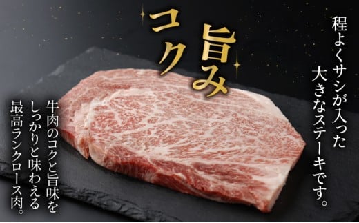 宮崎牛ロースステーキセット 計500g （250g×2）_K030-002