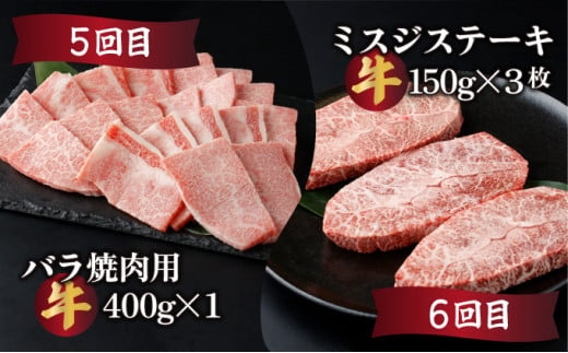 【定期便・全6回】宮崎牛6ヶ月定期便！計2.55kg(宮崎牛肩ローススライス400g、宮崎牛ロース ステーキ500g、宮崎牛モモ スライス400g、宮崎牛ウデ スライス400g、宮崎牛バラ 焼肉400g、宮崎牛ミスジ ステーキ450g）【mKU304】