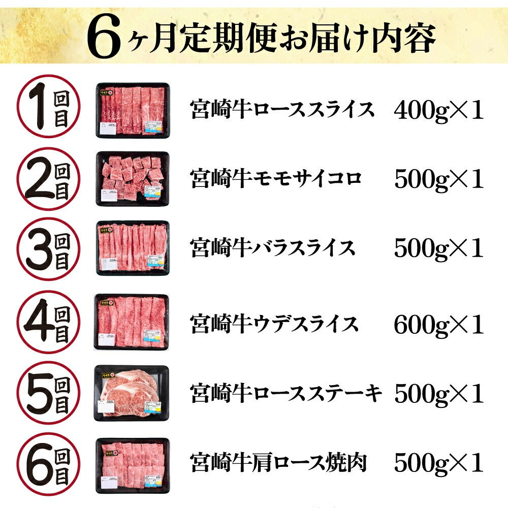 【定期便・全6回】宮崎牛 食べ比べお楽しみバラエティセット 6ヶ月定期便　合計3kg！【mMCT6U-30】