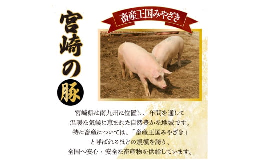 【定期便・全6回】宮崎牛・宮崎県産豚肉 6ヶ月定期便！6.9kg_K030-T002