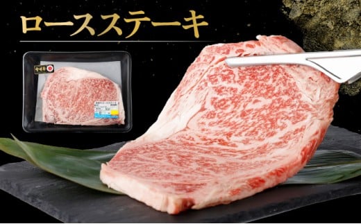宮崎牛ロースステーキセット 計500g （250g×2）_K030-002