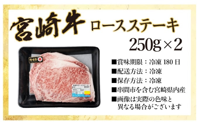 宮崎牛ロースステーキセット 計500g (250ｇ×2)【mKU309】内閣総理大臣賞 和牛 霜降り肉 肩ロース 焼肉 きめ細やか 柔らかい 最高級 コクと旨み 大きな