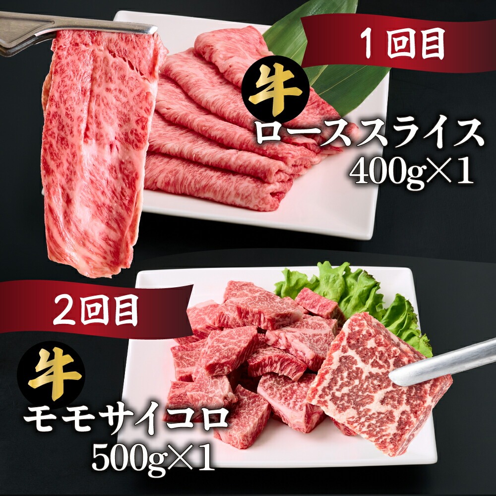 【定期便・全6回】宮崎牛 食べ比べお楽しみバラエティセット 6ヶ月定期便　合計3kg！【mMCT6U-30】