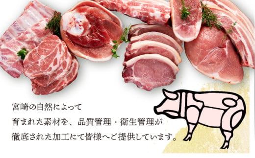 宮崎県産豚　小間切れ（合計3.2kg）_K030-008