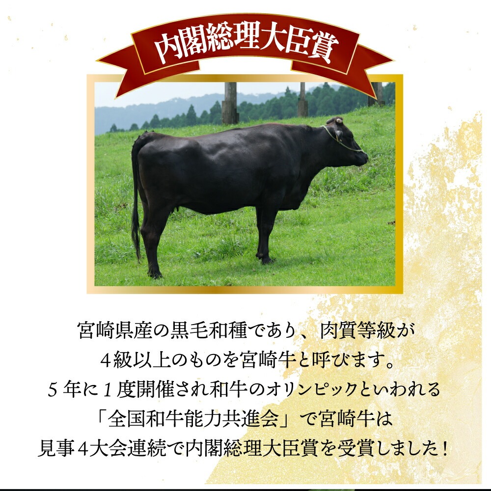 【定期便・全6回】宮崎牛 食べ比べお楽しみバラエティセット 6ヶ月定期便　合計3kg！【mMCT6U-30】