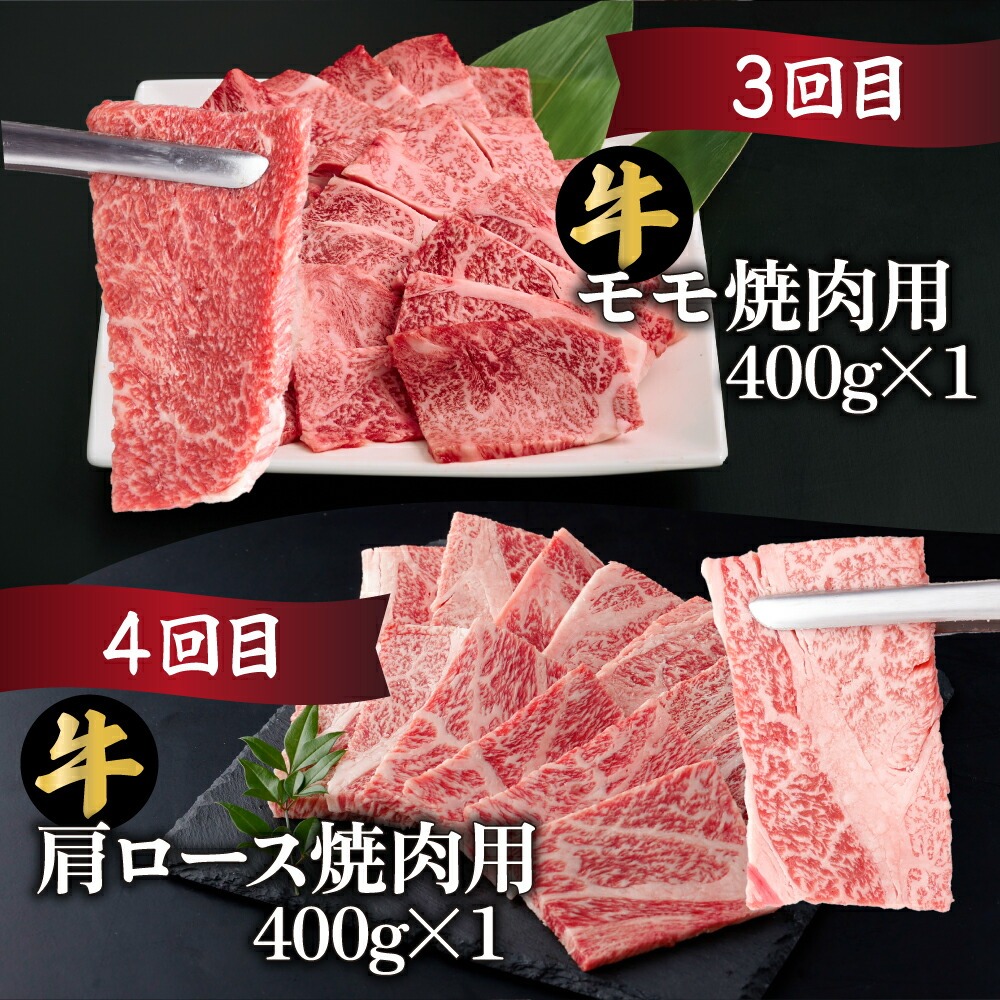 【定期便・全6回】宮崎牛 焼肉 6ヶ月食べ比べお楽しみ定期便！(合計2.6kg）【mMCT6UY26】