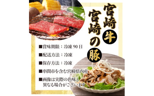 【定期便・全6回】宮崎牛・宮崎県産豚肉 6ヶ月定期便！6.9kg_K030-T002