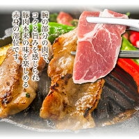 宮崎県産豚 焼肉セット 肩ロース焼肉 バラ焼肉 ロース焼肉 小間切れ （合計1.3kg） 焼肉 しゃぶしゃぶ BBQ 宮崎県【mMCBY4-13】