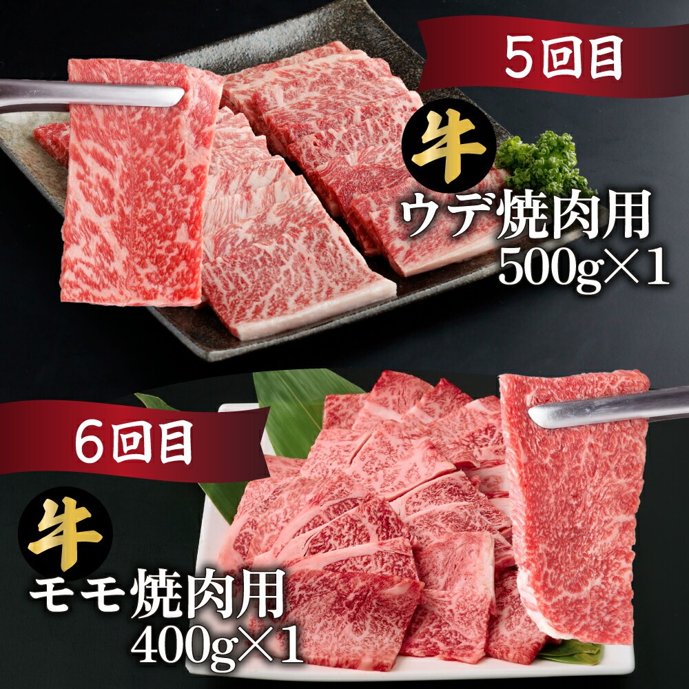 【定期便・全6回】宮崎牛 焼肉 6ヶ月食べ比べお楽しみ定期便！(合計2.6kg）【mMCT6UY26】