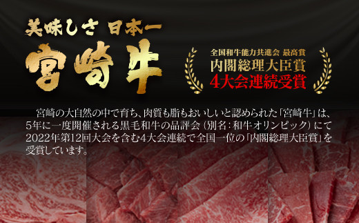 【宮崎牛＆宮崎県産豚肉】焼肉10種食べ比べセット600g 内閣総理大臣賞４連続受賞<1-44>