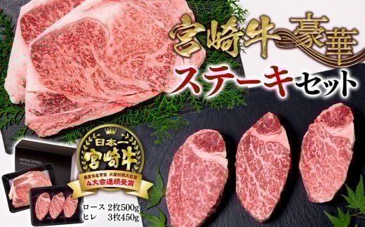 【宮崎牛】ロース＆ヒレ 豪華ステーキセット　 内閣総理大臣賞４連続受賞<6-22>