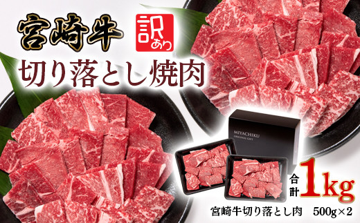 【宮崎牛】切り落とし焼肉1kg（500g×2パック） 訳あり 内閣総理大臣賞４連続受賞<1.8-14>