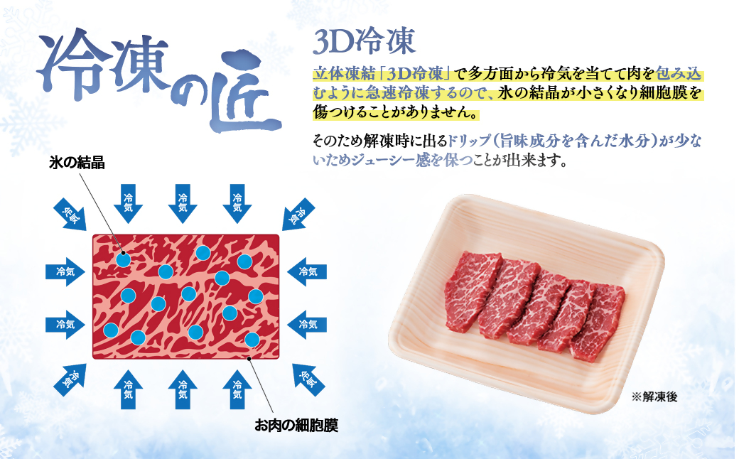 【宮崎牛＆宮崎県産豚肉】焼肉10種食べ比べセット600g 内閣総理大臣賞４連続受賞<1.1-7>