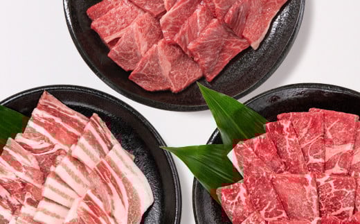 【宮崎牛＆宮崎県産豚肉】焼肉3種食べ比べセット1.3kg 内閣総理大臣賞４連続受賞<2.2-13>