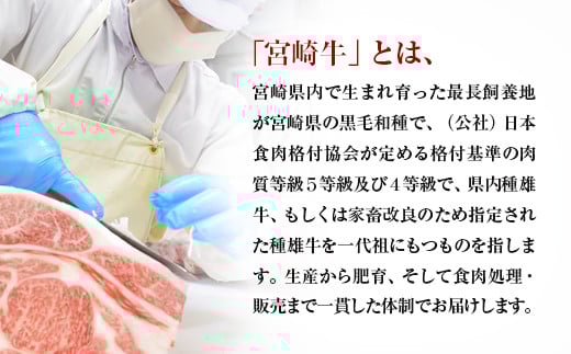 【宮崎牛】ロース＆モモステーキ食べ比べセット 1kg 内閣総理大臣賞４連続受賞<3.3-2>