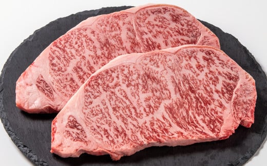 宮崎牛　ロースステーキ2枚（250g×2枚）　内閣総理大臣賞４連続受賞<1.8-21>