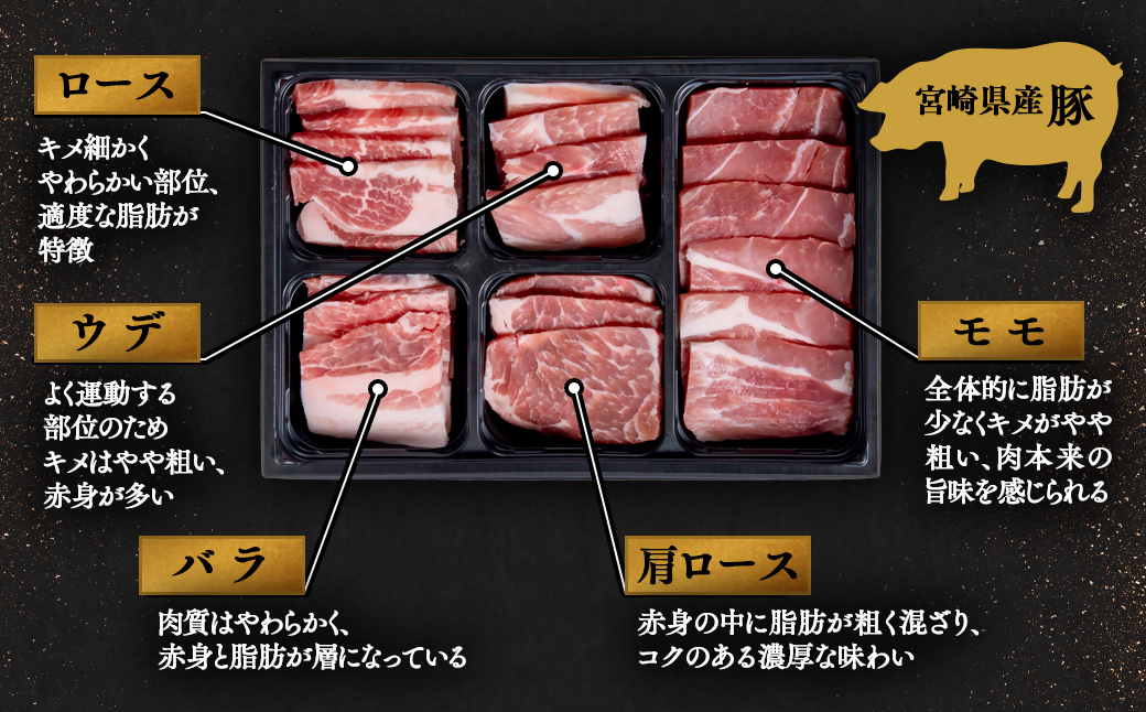 【宮崎牛＆宮崎県産豚肉】焼肉10種食べ比べセット600g 内閣総理大臣賞４連続受賞<1-44>