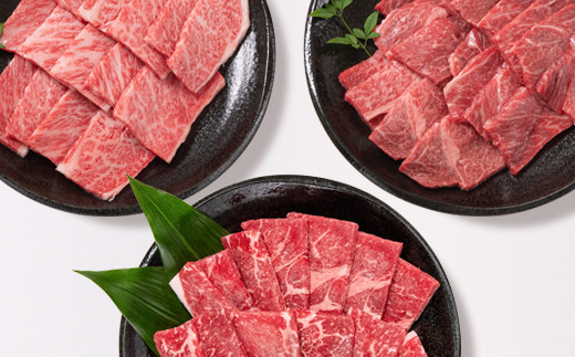 【宮崎牛】焼肉食べ比べ3種セット1.1kg　 内閣総理大臣賞４連続受賞<2.5-38>