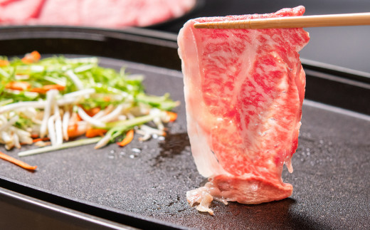 宮崎牛　ローススライス600g（300g×2）　内閣総理大臣賞４連続受賞<2.1-13>焼きしゃぶ　すき焼き
