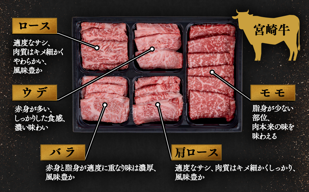 【宮崎牛＆宮崎県産豚肉】焼肉10種食べ比べセット600g 内閣総理大臣賞４連続受賞<1-44>