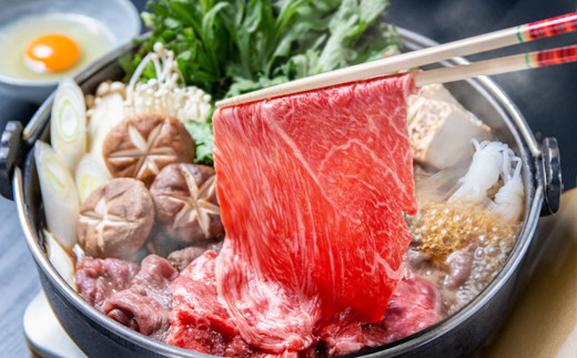 <畜産農家応援>【宮崎牛】モモ・肩ローススライスセット1kg　内閣総理大臣賞４連続受賞<1.7-11>