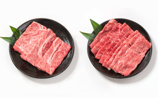 <畜産農家応援>【宮崎牛】モモ・肩ローススライスセット1kg　内閣総理大臣賞４連続受賞<1.7-11>