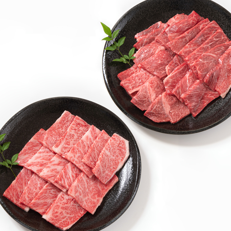 <畜産農家応援>【宮崎牛】焼肉セット1kg 内閣総理大臣賞４連続受賞<1.6-23>