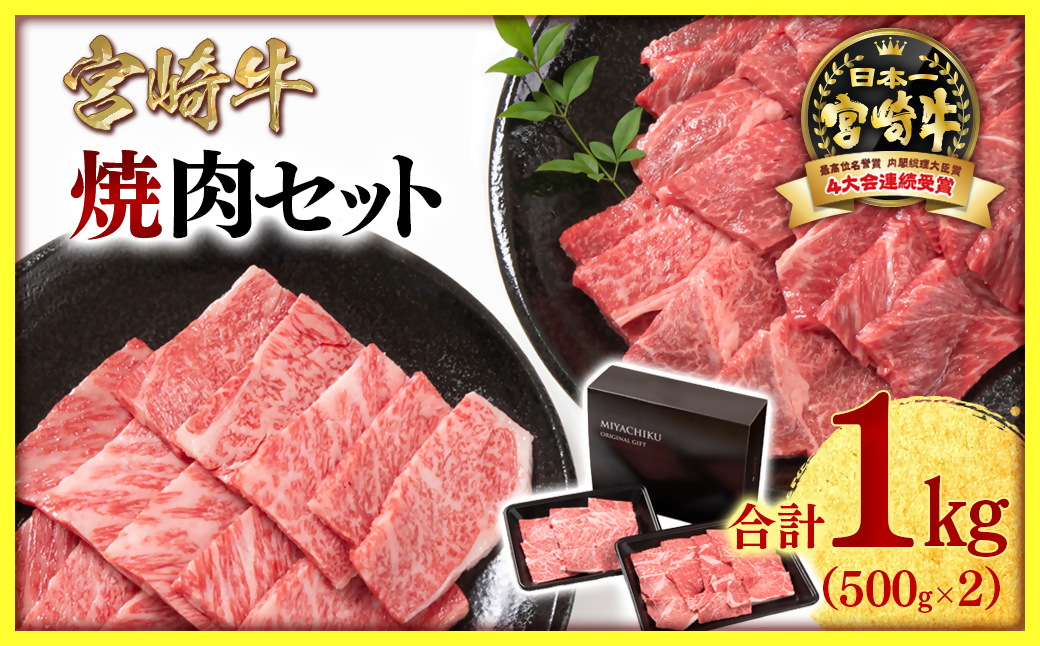 【宮崎牛】焼肉セット1kg 内閣総理大臣賞４連続受賞<47-10a>