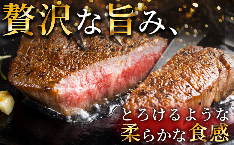 ＜宮崎牛ヒレステーキ 360g＞ 3枚 霜降り やわらかい サシ 赤身と脂のバランス 牛肉 精肉 希少部位 ステーキ 肉料理 ご馳走 国産 高級 ブランド牛肉 黒毛和牛 数量限定【MI767-my】【ミヤチク】