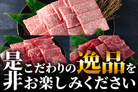 《毎月数量限定》＜【3ヶ月定期便】総重量1.1kg 宮崎牛焼肉味わい試し＞肩ロース ウデ モモ 食べくらべ 国産 九州産 みやざき牛肉 焼き肉 BBQ バーベキュー アウトドア 小分け 個包装 プレゼント【MI241-my-x1】【ミヤチク】
