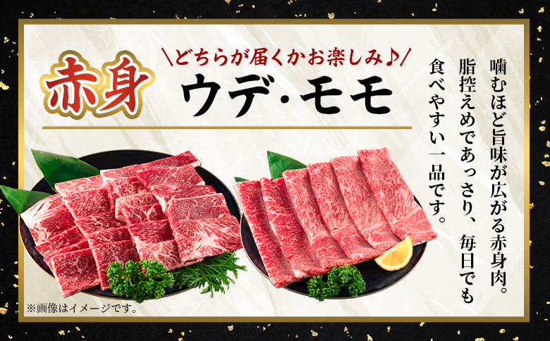 ＜宮崎牛赤身【焼肉】（ウデorモモ）300g＞【1月発送】脂控えめ ヘルシー あっさり うで もも 炒め物 肉料理 ご馳走 国産 ブランド牛肉 黒毛和牛【MI681-my-jan】【ミヤチク】