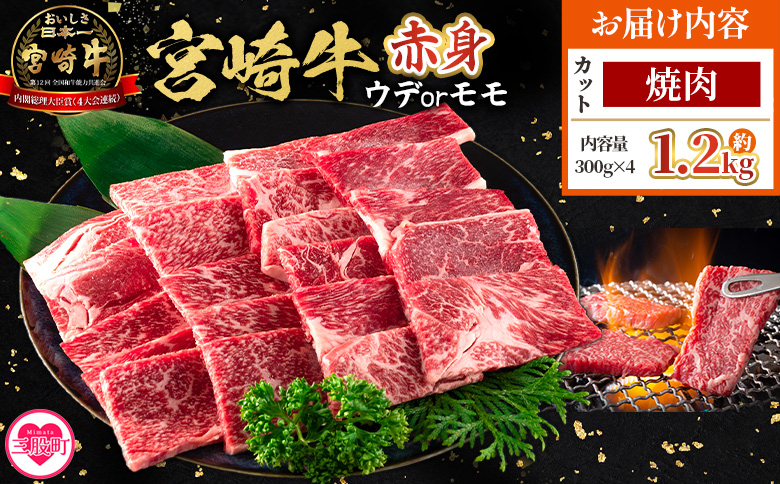 <宮崎牛赤身【焼肉】(ウデorモモ)1.2kg>【8月発送】脂控えめ ヘルシー あっさり うで もも 炒め物 肉料理 ご馳走 国産 ブランド牛肉 黒毛和牛【MI684-my-aug】【ミヤチク】