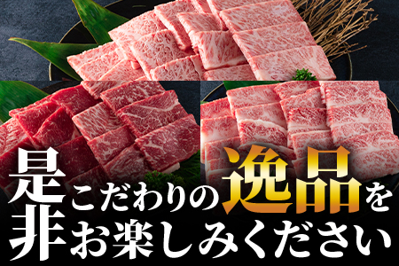 ＜【3ヶ月定期便】総重量1.6kgの宮崎牛焼肉味わいお試しセット＞国産 九州産【MI243-my】【ミヤチク】