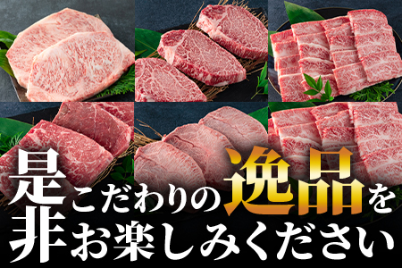 ＜数量限定【6ヶ月定期便】総重量2.45kg宮崎牛ステーキ・希少部位焼肉(ヒレステーキ込)＞国産 九州産【MI240-my】【ミヤチク】