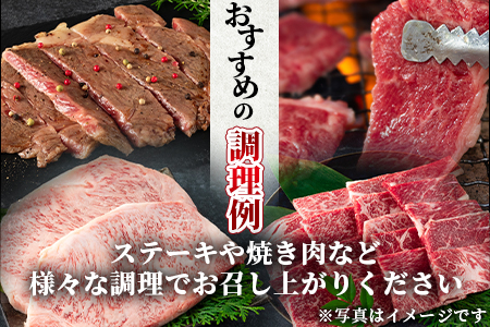 ＜数量限定【6ヶ月定期便】総重量2.45kg宮崎牛ステーキ・希少部位焼肉(ヒレステーキ込)＞国産 九州産【MI240-my】【ミヤチク】