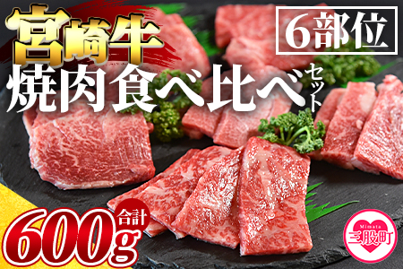 <3D冷凍宮崎牛焼肉食べ比べセット>(合計600g)肩ロース、バラ、モモ、ウデ、ロース、ヒレ各100gずつ!【MI089-my】【ミヤチク】