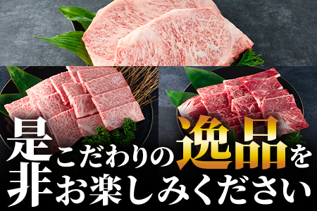 ＜【3ヶ月定期便】総重量1.9kgの宮崎牛ステーキ焼肉味わいセット＞国産 九州産【MI238-my】【ミヤチク】