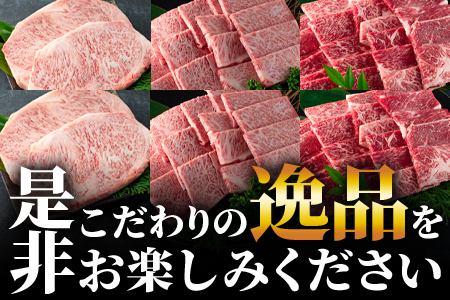 ＜【定期便6ヶ月】総重量2.85kgの宮崎牛味わい尽くし（ヒレステーキ込）＞【MI158-my】【ミヤチク】