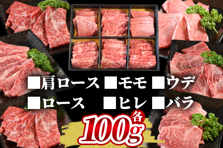 ＜3D冷凍宮崎牛焼肉食べ比べセット＞(合計600g)肩ロース、バラ、モモ、ウデ、ロース、ヒレ各100gずつ！【MI089-my】【ミヤチク】