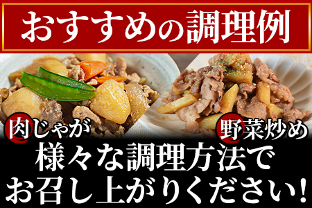 《毎月数量限定》＜宮崎県産豚小間切れ 総量3.2kg＞(400g×8)【MI131-my】【ミヤチク】