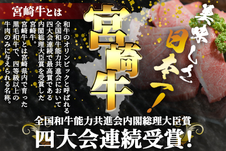 ＜3D冷凍宮崎牛焼肉食べ比べセット＞(合計600g)肩ロース、バラ、モモ、ウデ、ロース、ヒレ各100gずつ！【MI089-my】【ミヤチク】